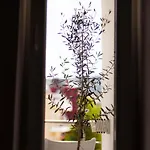 Thalassea * هيماري